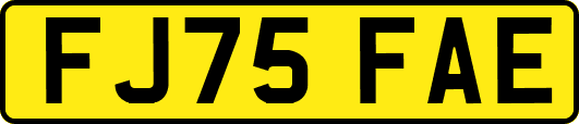 FJ75FAE