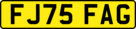 FJ75FAG