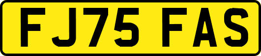 FJ75FAS