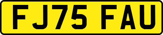 FJ75FAU