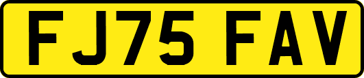 FJ75FAV