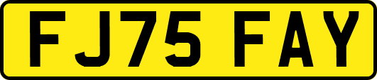 FJ75FAY