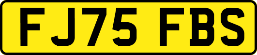 FJ75FBS