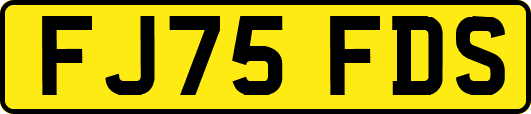 FJ75FDS