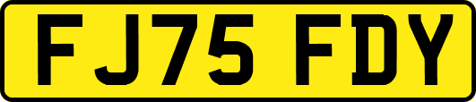 FJ75FDY
