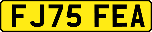 FJ75FEA