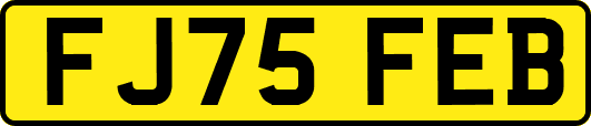FJ75FEB