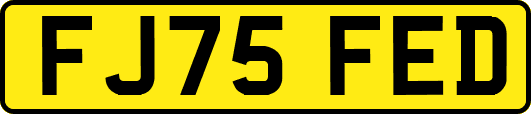 FJ75FED