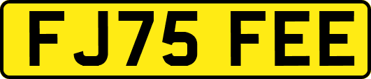 FJ75FEE