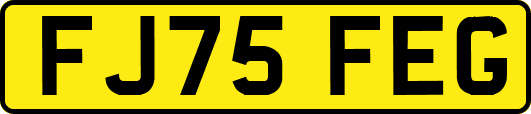 FJ75FEG