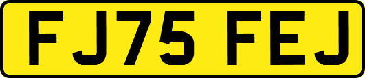 FJ75FEJ