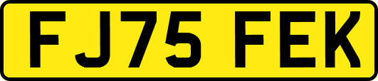 FJ75FEK