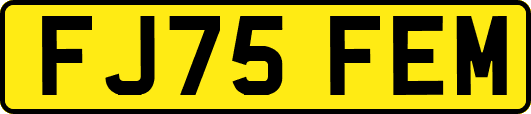 FJ75FEM