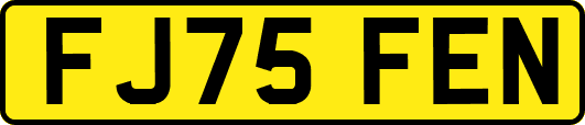 FJ75FEN