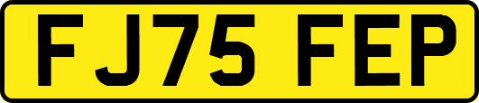 FJ75FEP