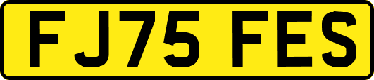 FJ75FES