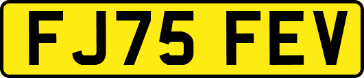 FJ75FEV