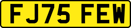FJ75FEW