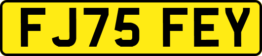 FJ75FEY
