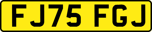 FJ75FGJ