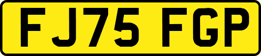 FJ75FGP