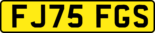 FJ75FGS