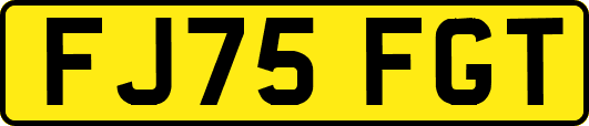 FJ75FGT