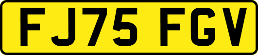 FJ75FGV