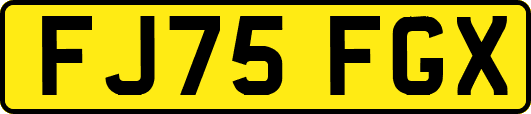FJ75FGX