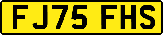 FJ75FHS