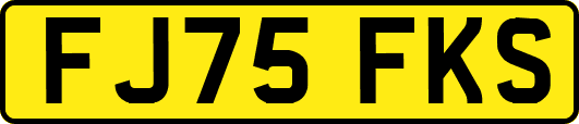 FJ75FKS