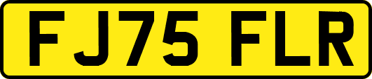 FJ75FLR
