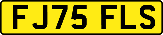 FJ75FLS
