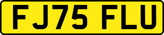 FJ75FLU