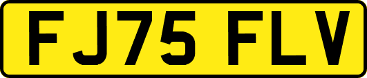 FJ75FLV