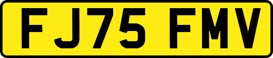FJ75FMV