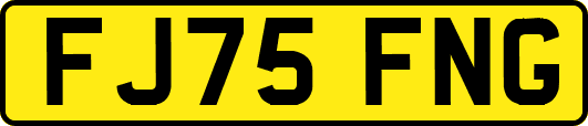 FJ75FNG