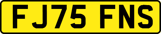 FJ75FNS