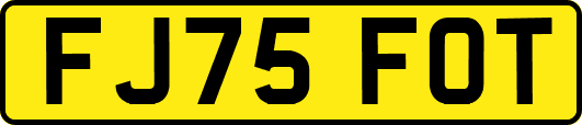 FJ75FOT