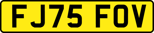 FJ75FOV