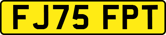 FJ75FPT