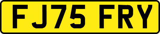 FJ75FRY
