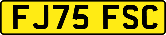 FJ75FSC