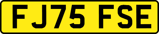 FJ75FSE