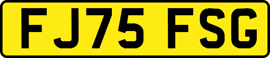FJ75FSG