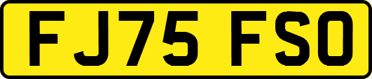 FJ75FSO