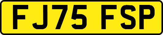 FJ75FSP