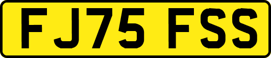 FJ75FSS