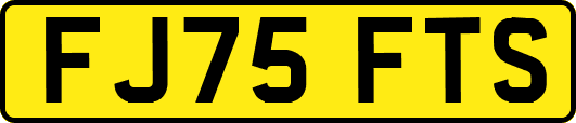FJ75FTS
