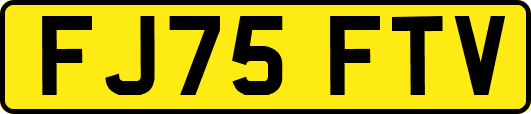 FJ75FTV
